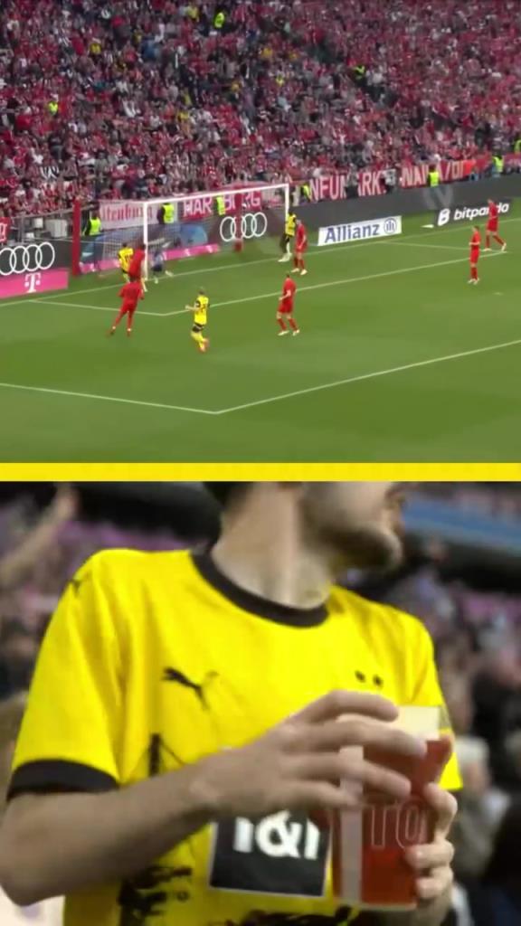 勇者無懼！這是真多特球迷！在拜仁球迷區(qū)一個(gè)人肆意慶祝！